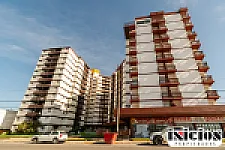 Imagen 1 de la propiedad Monoambiente Cómodo y Luminoso