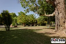 Imagen 22 de la propiedad Casco de estancia de campo productivo con instalaciones completas