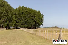 Imagen 21 de la propiedad Casco de estancia de campo productivo con instalaciones completas