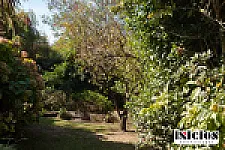 Imagen 15 de la propiedad Casa sola en lote amoblada con magnifico parque y jardin